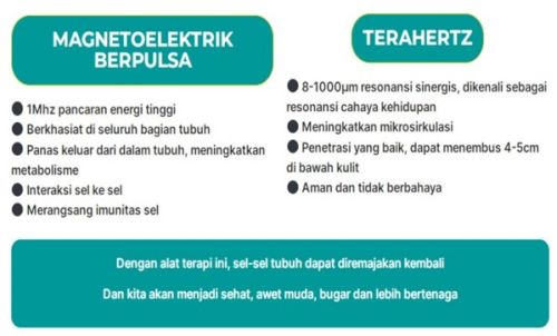 Jual Alat Terapi Kelenjar Reproduksi Tangerang