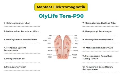 Jual Alat Terapi THZ Tera-P90 Tangerang