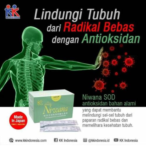 Supplier Herbal Kesehatan Terdekat Di Tangerang