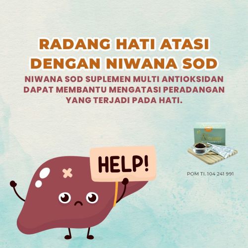 Distributor Herbal Kesehatan Terbaik Di Tangerang