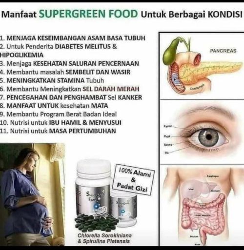 Toko Grosir Herbal Kesehatan Super Green Food Terbaik Di Bekasi