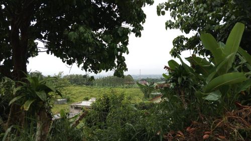 Investasi Tanah Di Taman Sari Bogor SHM