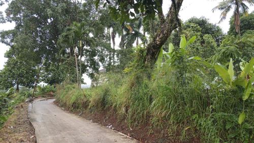 Harga Tanah Di Kabupaten Bogor Di Bawah Harga Pasar