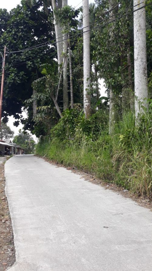 Jual Tanah Di Kabupaten Bogor Batas Jelas