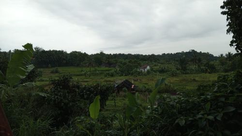Di Jual Tanah Di Taman Sari Bogor SHM
