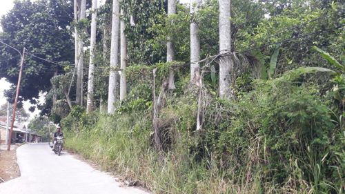 Jual Tanah Di Taman Sari Bogor Strategis