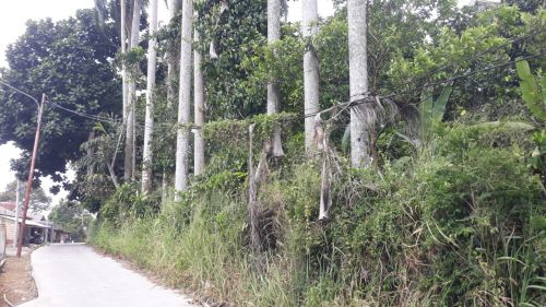 Investasi Tanah Di Kabupaten Bogor Batas Jelas