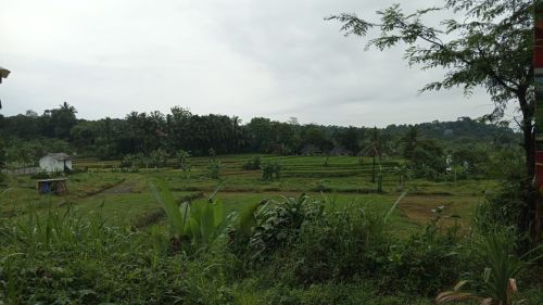 Harga Tanah Di Taman Sari Bogor Murah