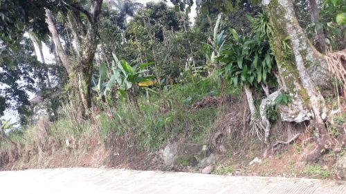 Harga Tanah Di Taman Sari Bogor Bebas PBB